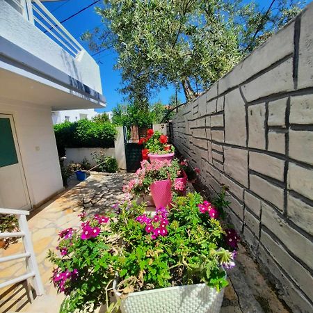 كساميل Vila Bexheti المظهر الخارجي الصورة