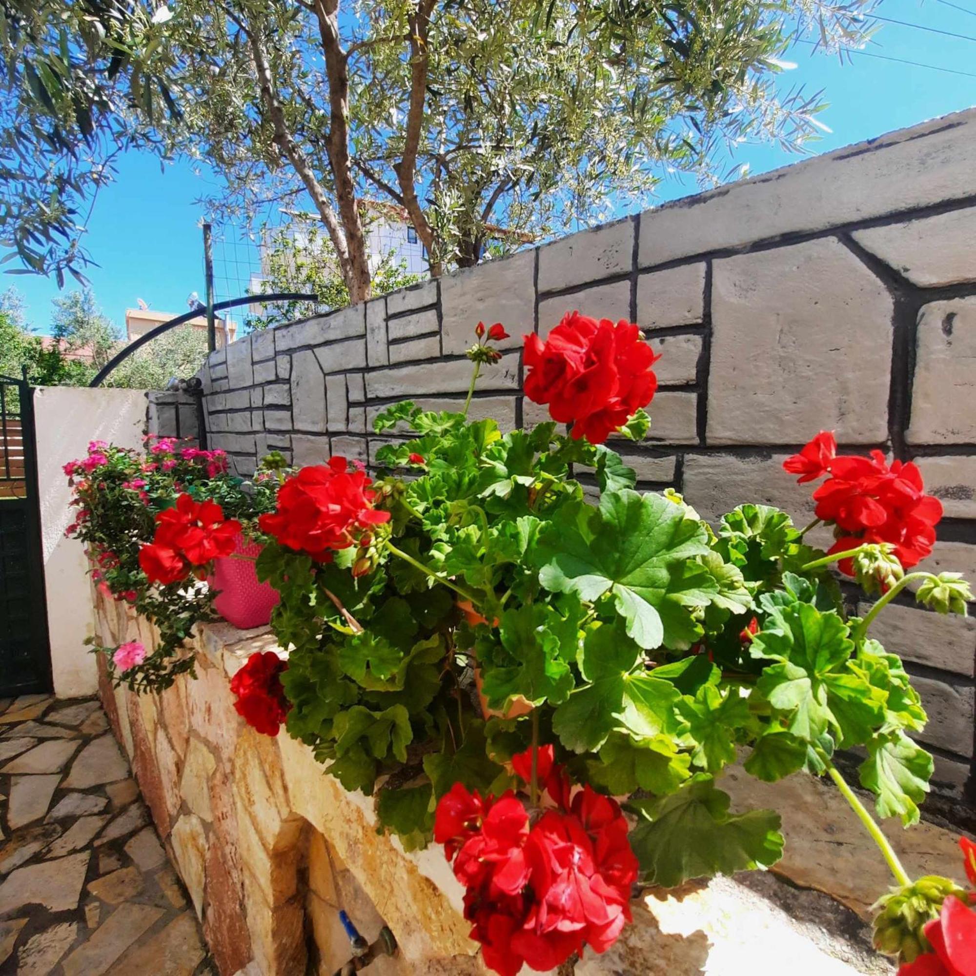 كساميل Vila Bexheti المظهر الخارجي الصورة